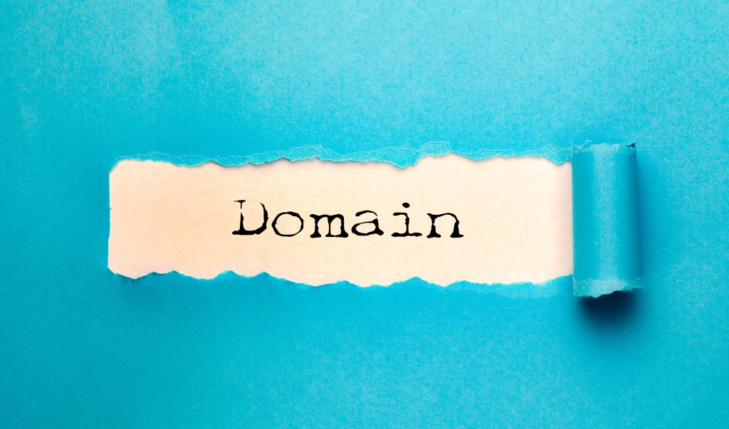 Domain nasıl alınır?